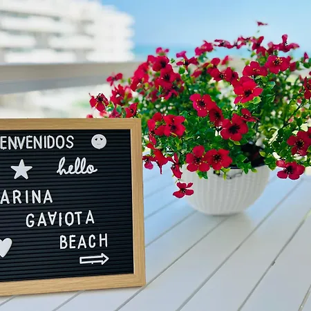 Marina Gaviota * Daimús